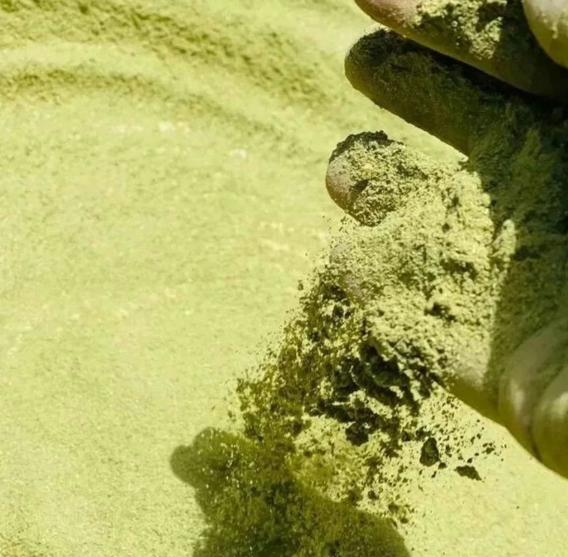 Raw Qasil Powder